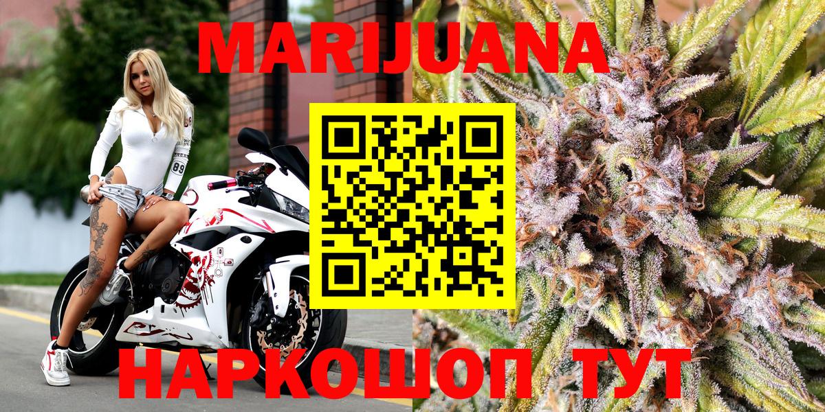 Каннабис сатива Ростов-на-Дону